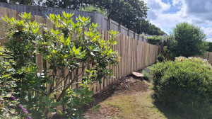 Fencing