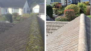 Roof Cleaning